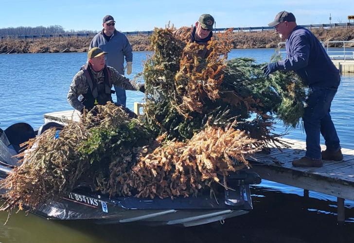 CHRISTMAS TREE CARGO